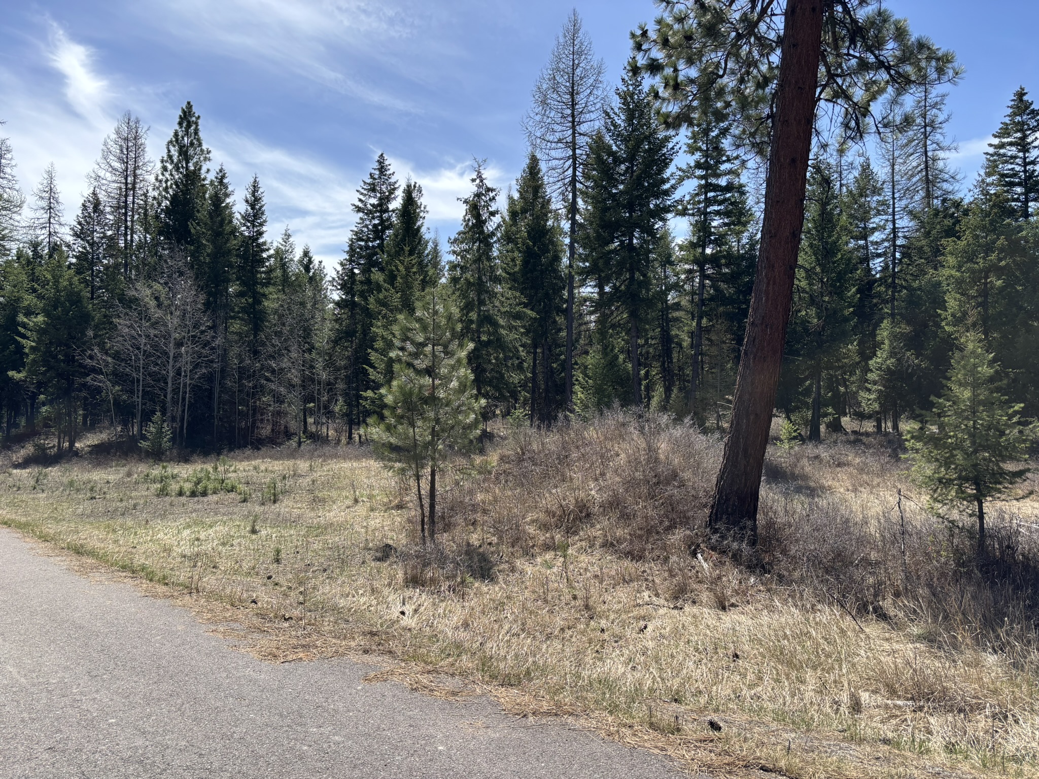 238 Haskill Ranch Road Lot-1