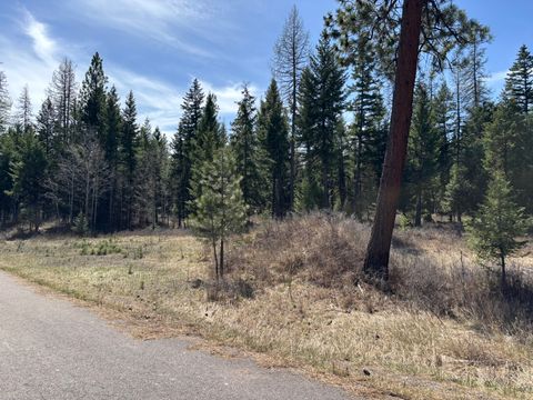 Tiny photo for 238 Haskill Ranch Road #Lot-1, Kila, MT 59920 (MLS # 30069571)