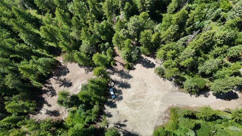 Photo of 2225 Tamarack Lane, Columbia Falls, MT 59912 (MLS # 30054309)
