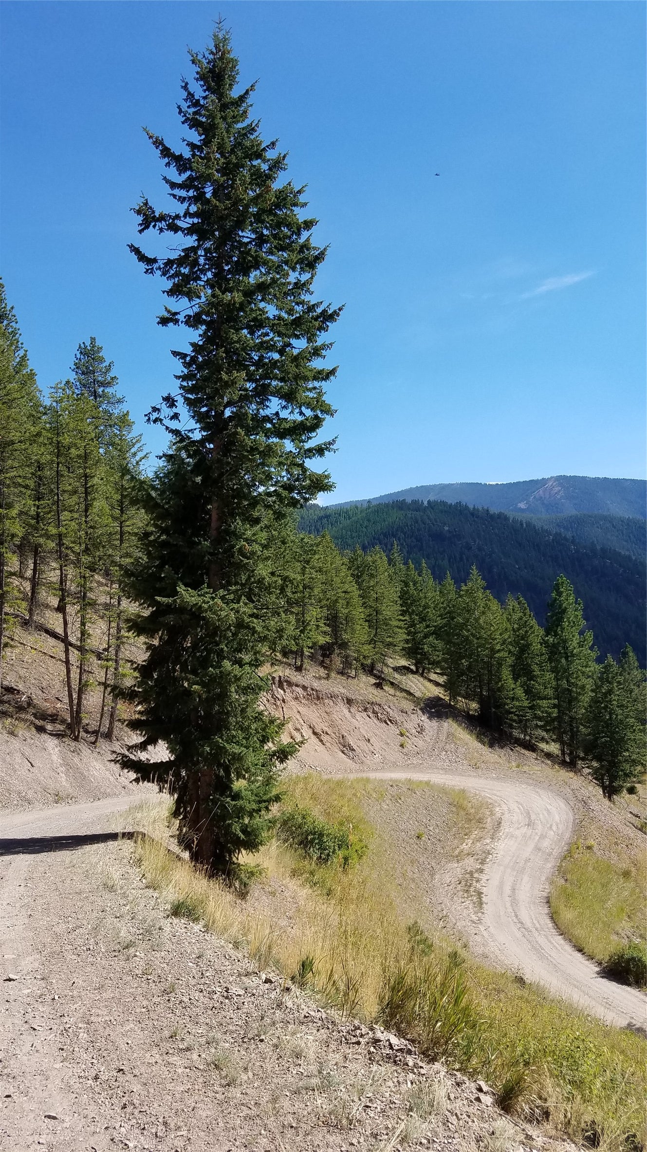 2200 Petty Creek Road