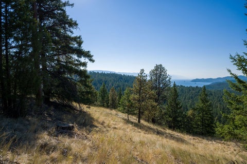 Tiny photo for 207 Angel Point Preserve, Lakeside, MT 59922 (MLS # 30071975)