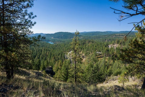 Tiny photo for 207 Angel Point Preserve, Lakeside, MT 59922 (MLS # 30071975)