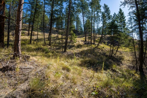 Tiny photo for 207 Angel Point Preserve, Lakeside, MT 59922 (MLS # 30071975)