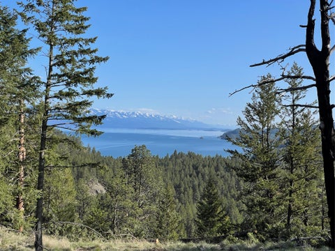 Tiny photo for 207 Angel Point Preserve, Lakeside, MT 59922 (MLS # 30071975)