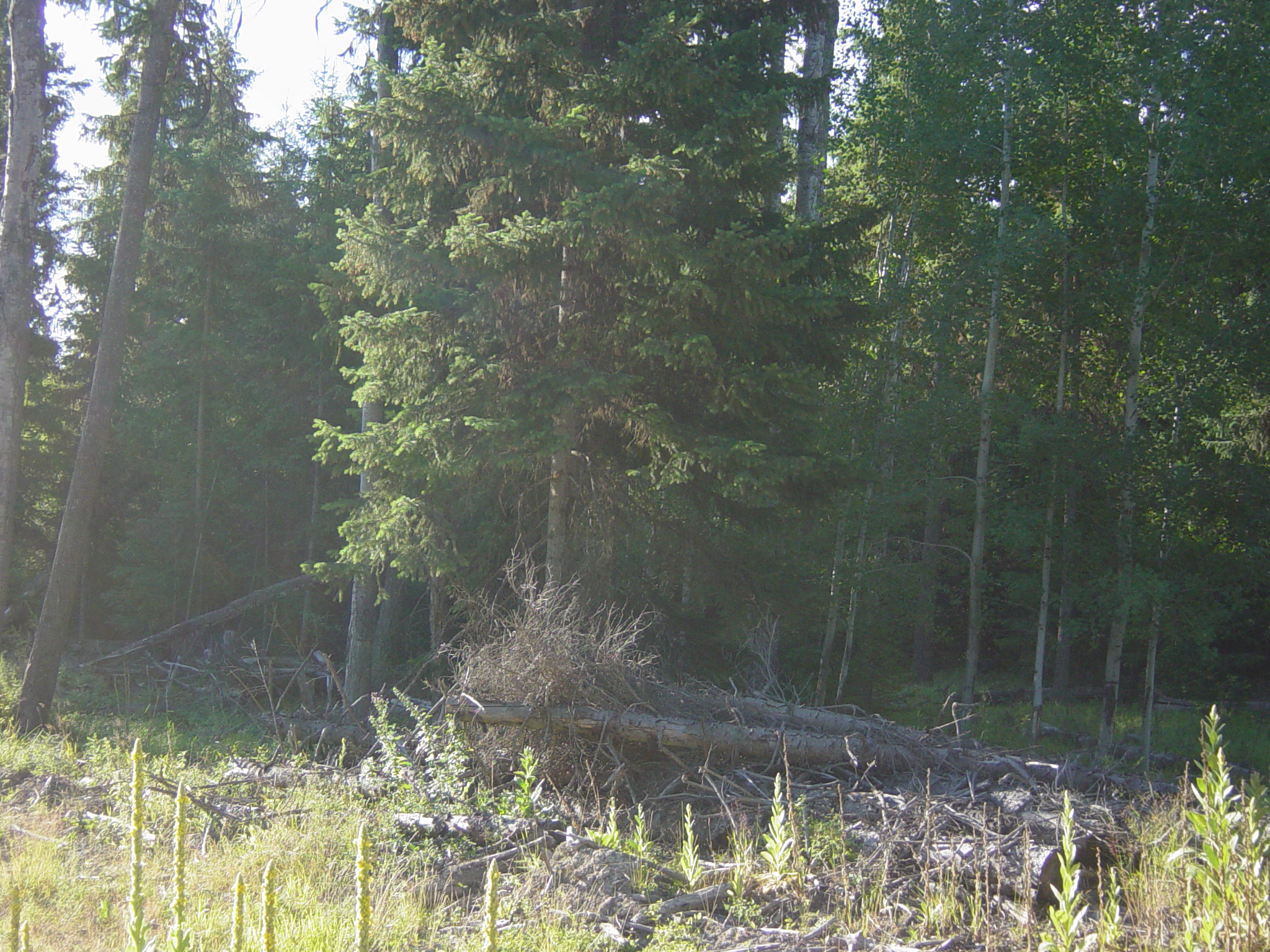 Photo 1 of 15 — NHN ACM Road S, Libby, MT 59923