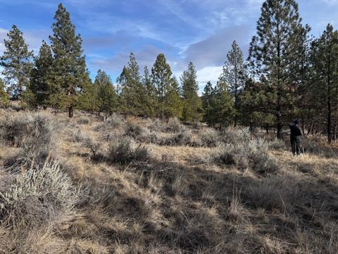 711 Rabbit Run Stevensville MT 59870