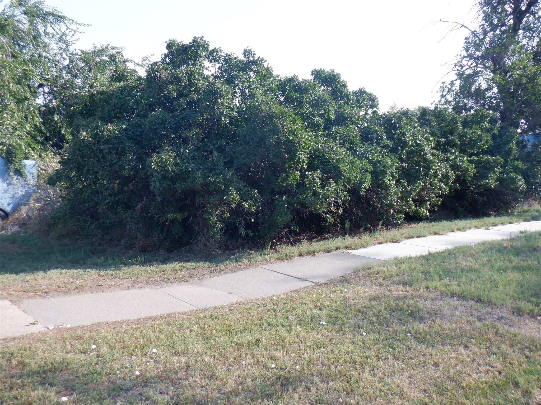 217 9th Avenue S