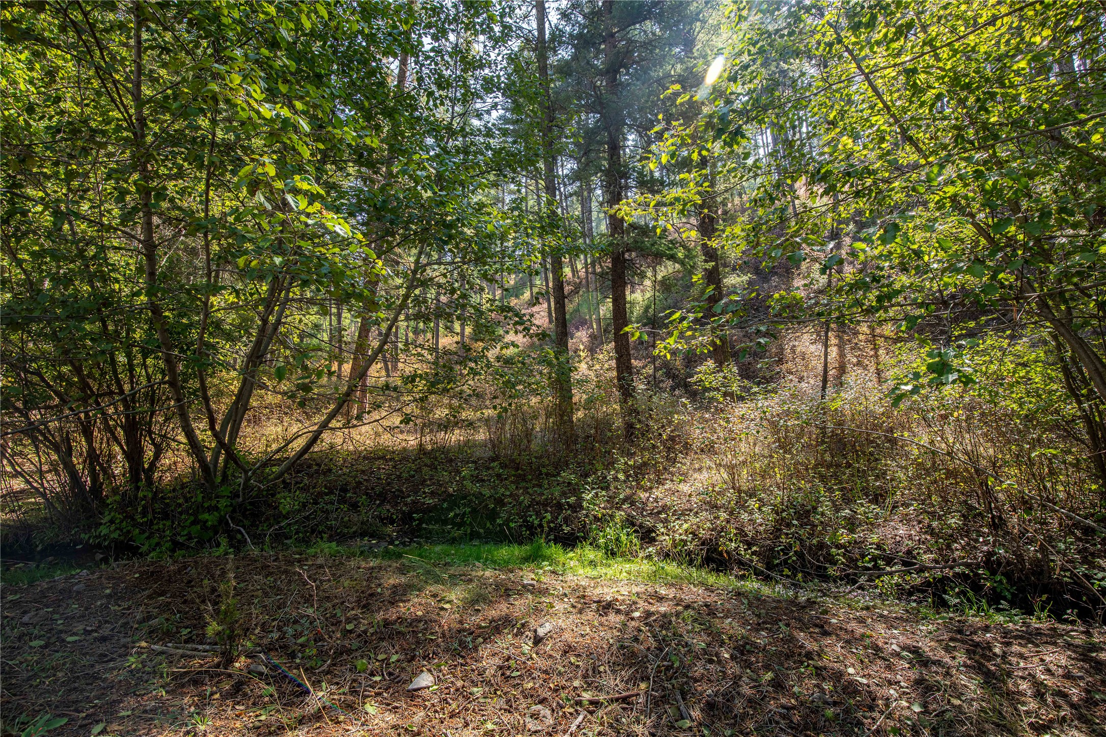 NHN Gillispie-Sliderock Road