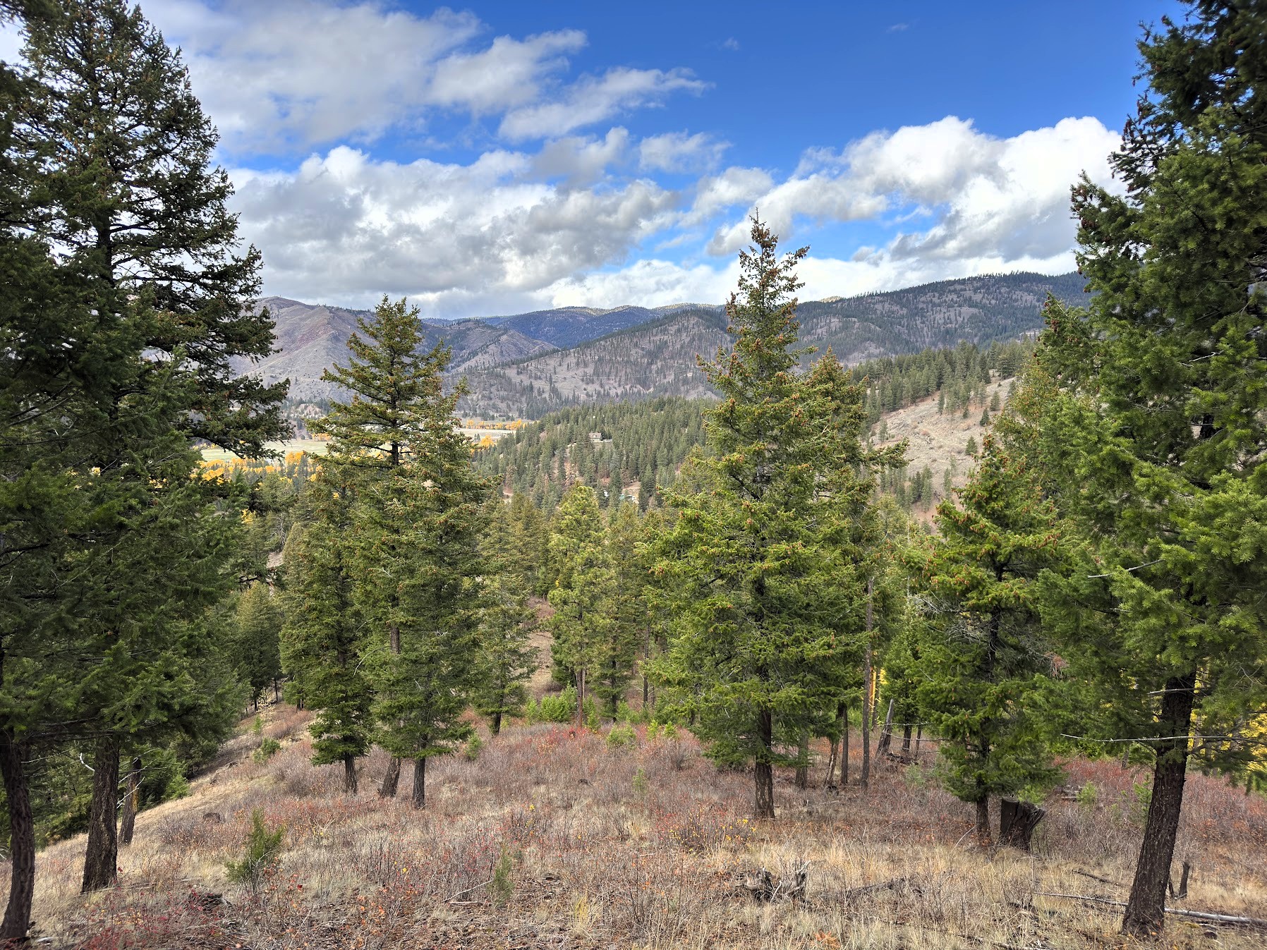 Clinton, Montana 59825, United States, ,Land,Active,214217