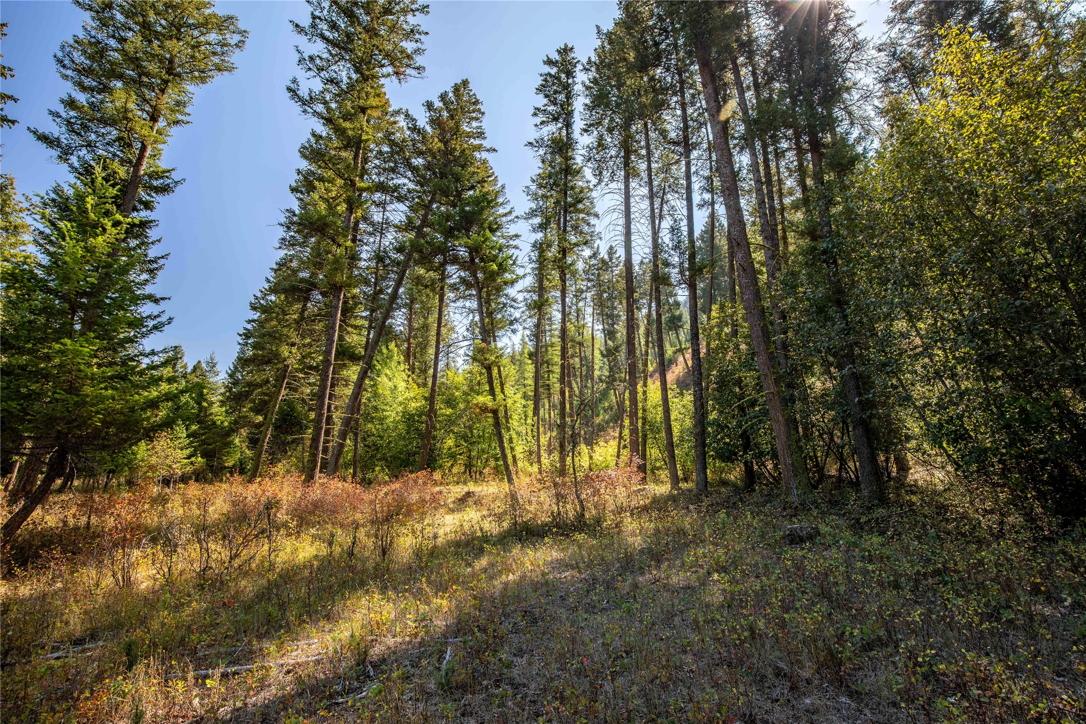 Clinton, Montana 59825, United States, ,Land,Active,214217