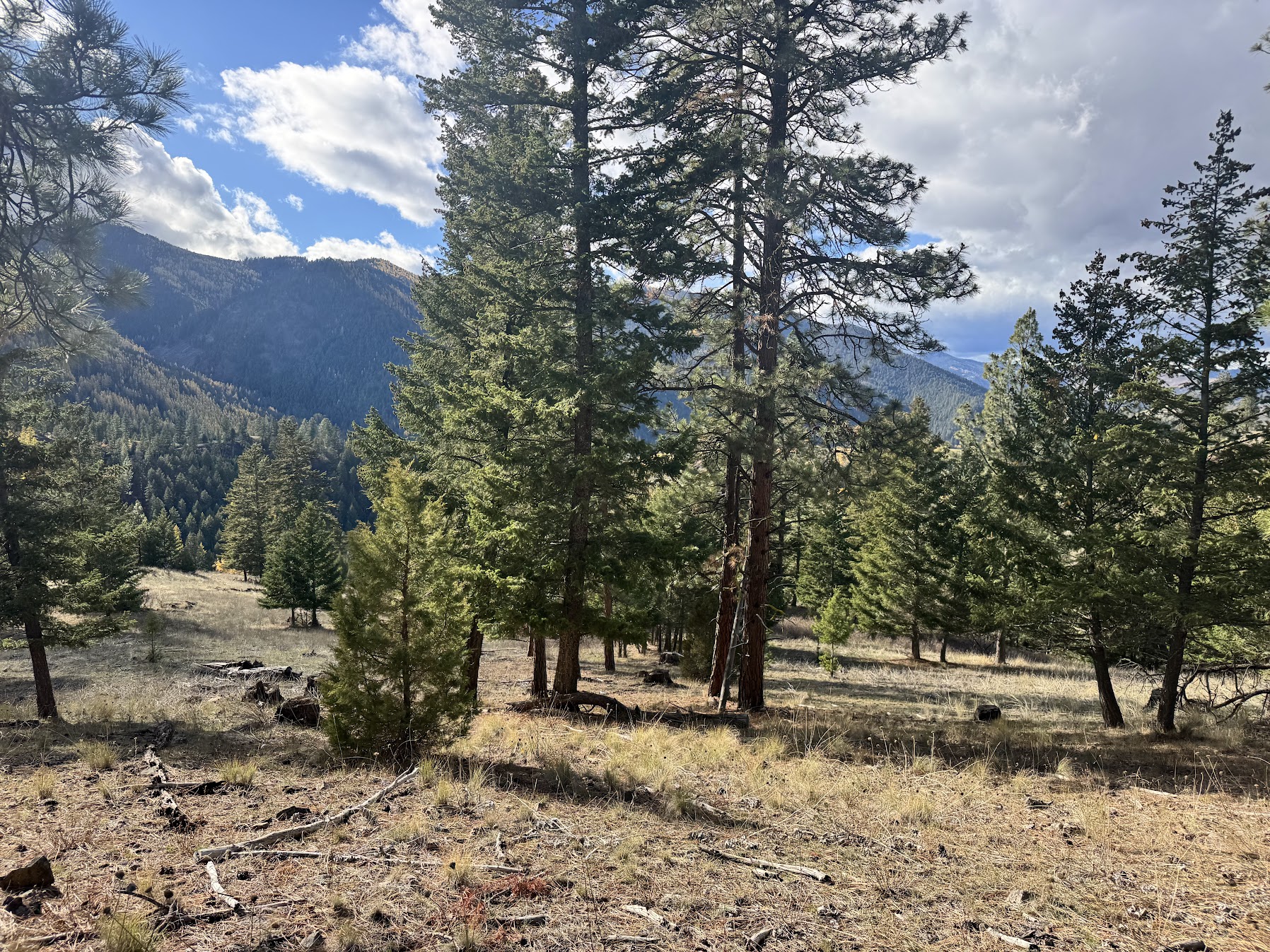 Clinton, Montana 59825, United States, ,Land,Active,214217