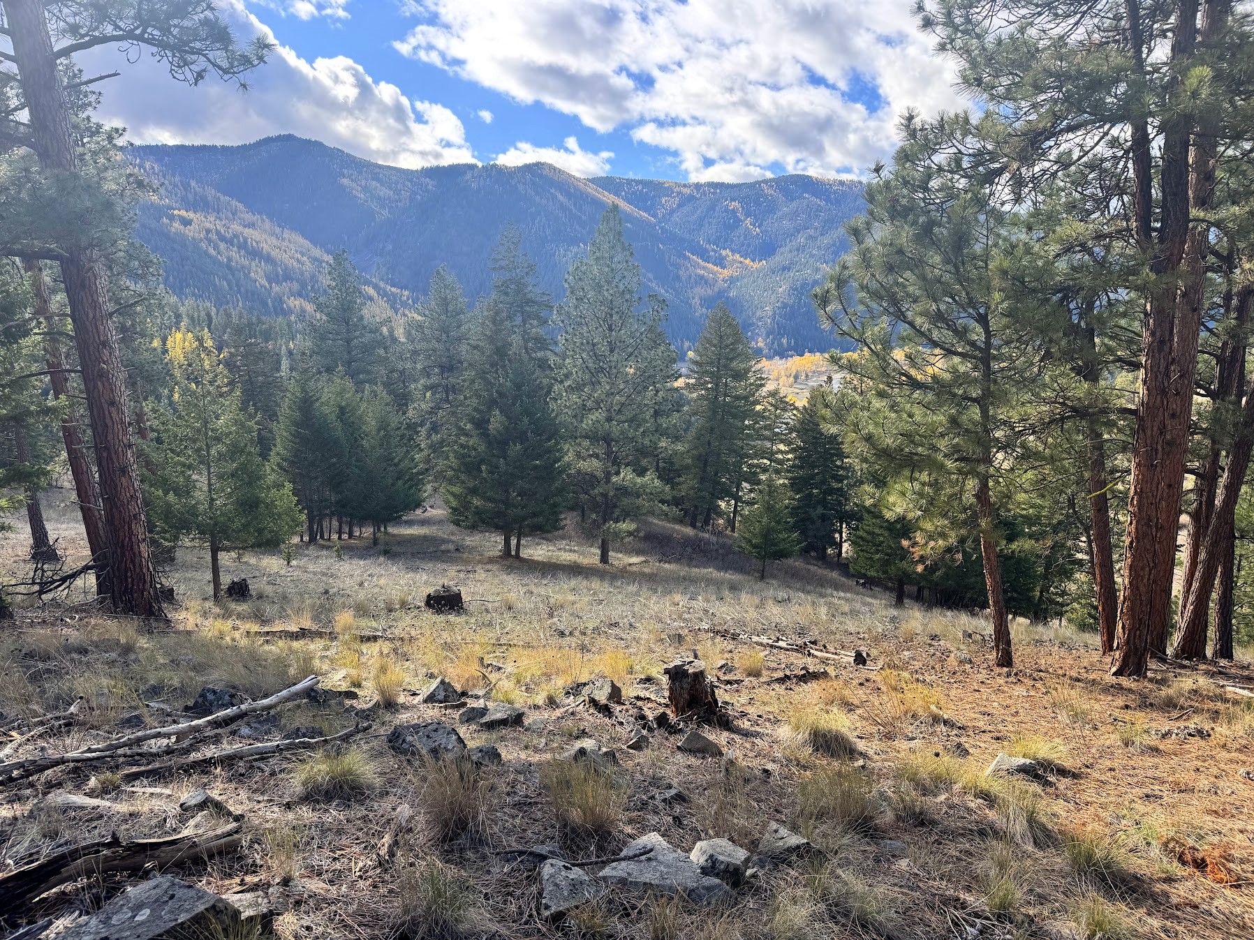 Clinton, Montana 59825, United States, ,Land,Active,214217