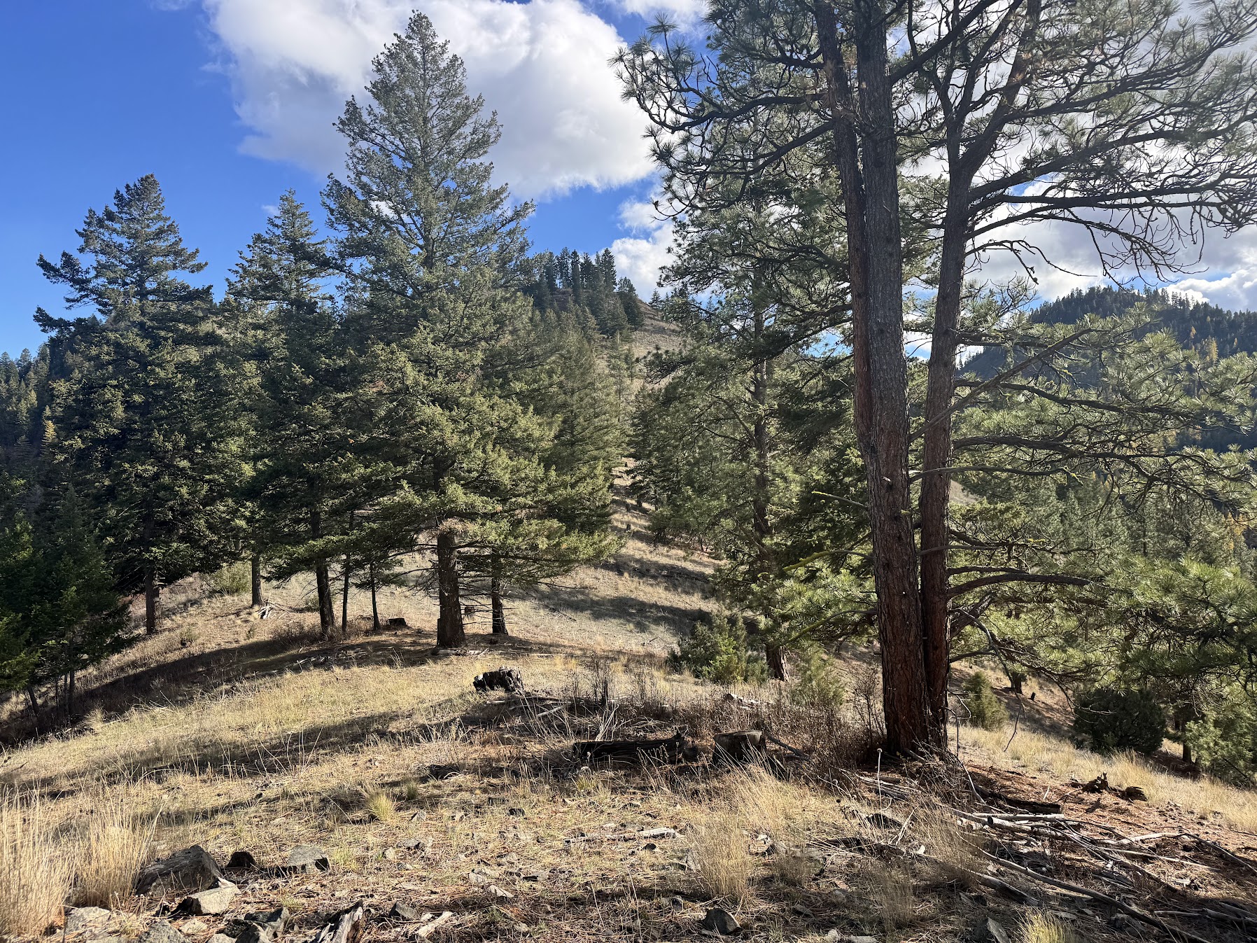 Clinton, Montana 59825, United States, ,Land,Active,214217