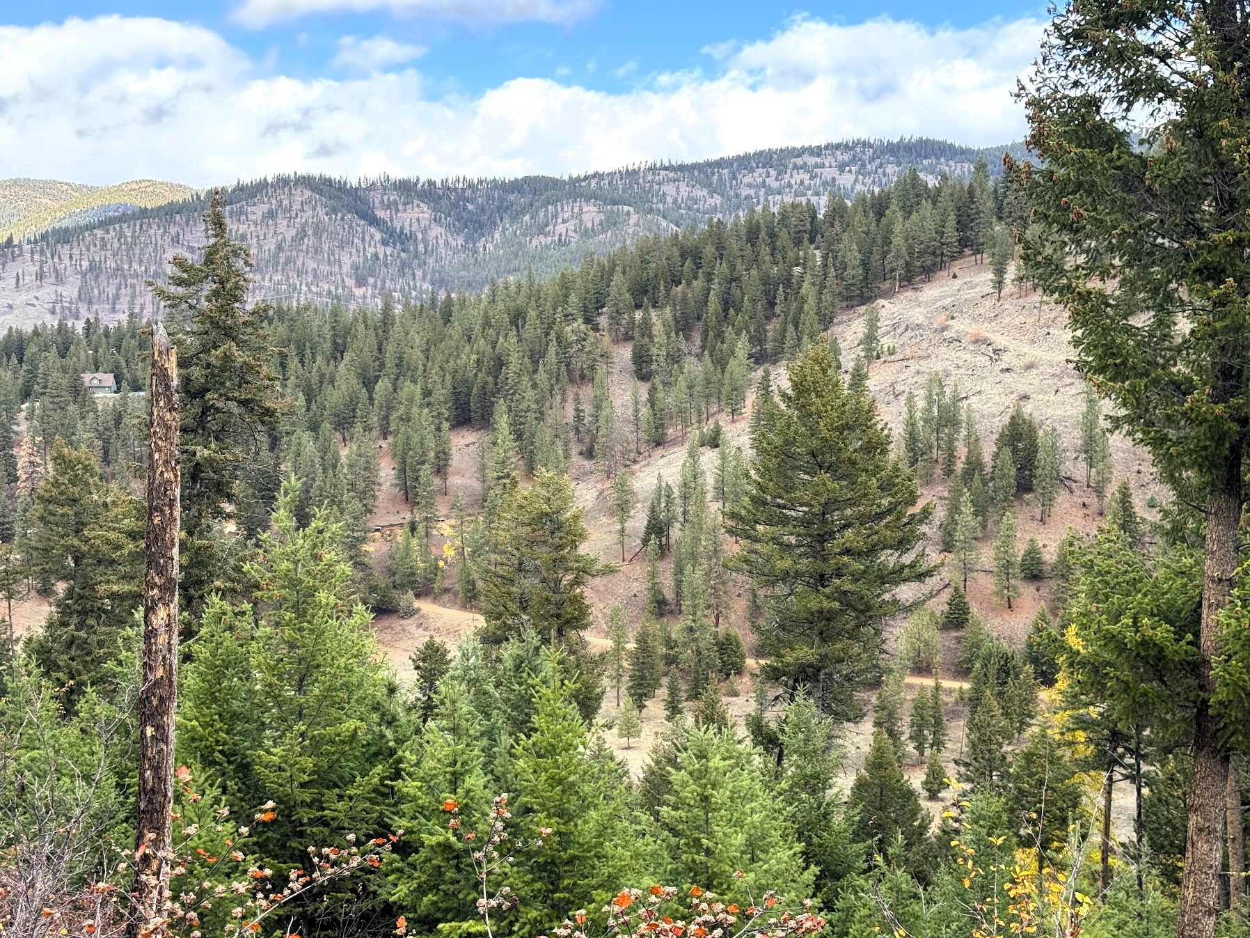 Clinton, Montana 59825, United States, ,Land,Active,214217