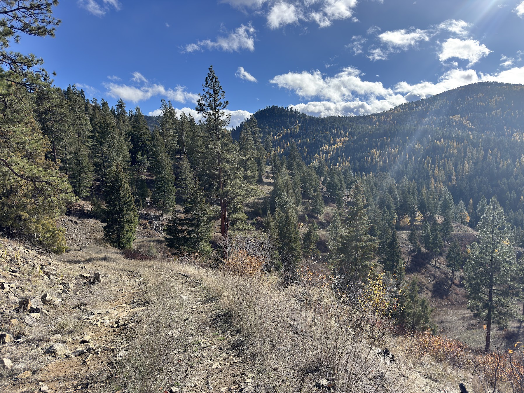 Clinton, Montana 59825, United States, ,Land,Active,214217