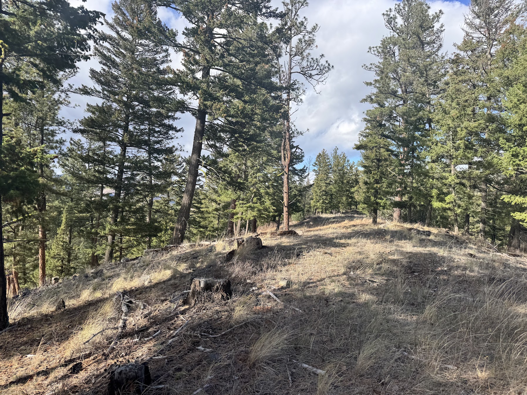 Clinton, Montana 59825, United States, ,Land,Active,214217