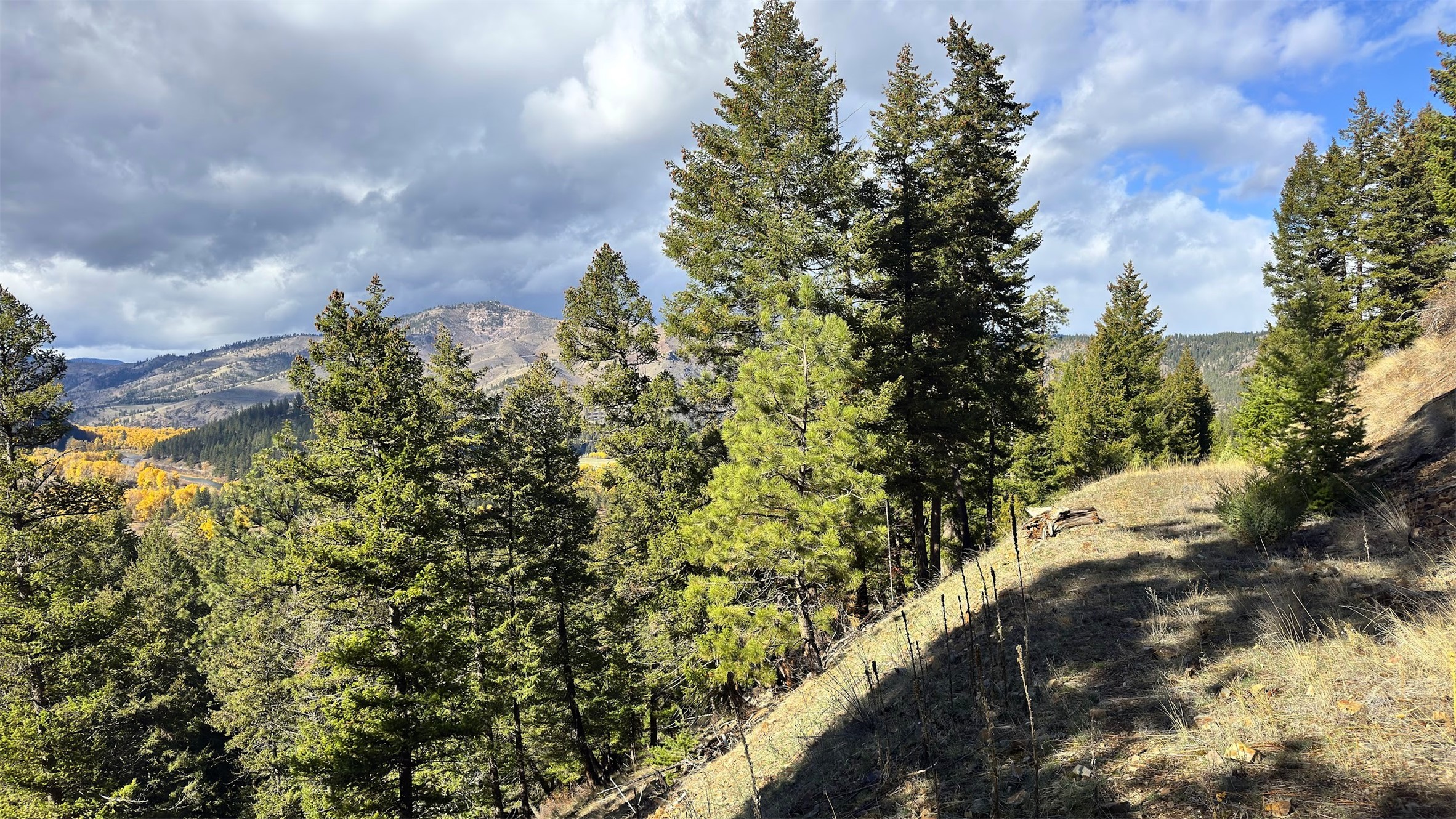 Clinton, Montana 59825, United States, ,Land,Active,214217