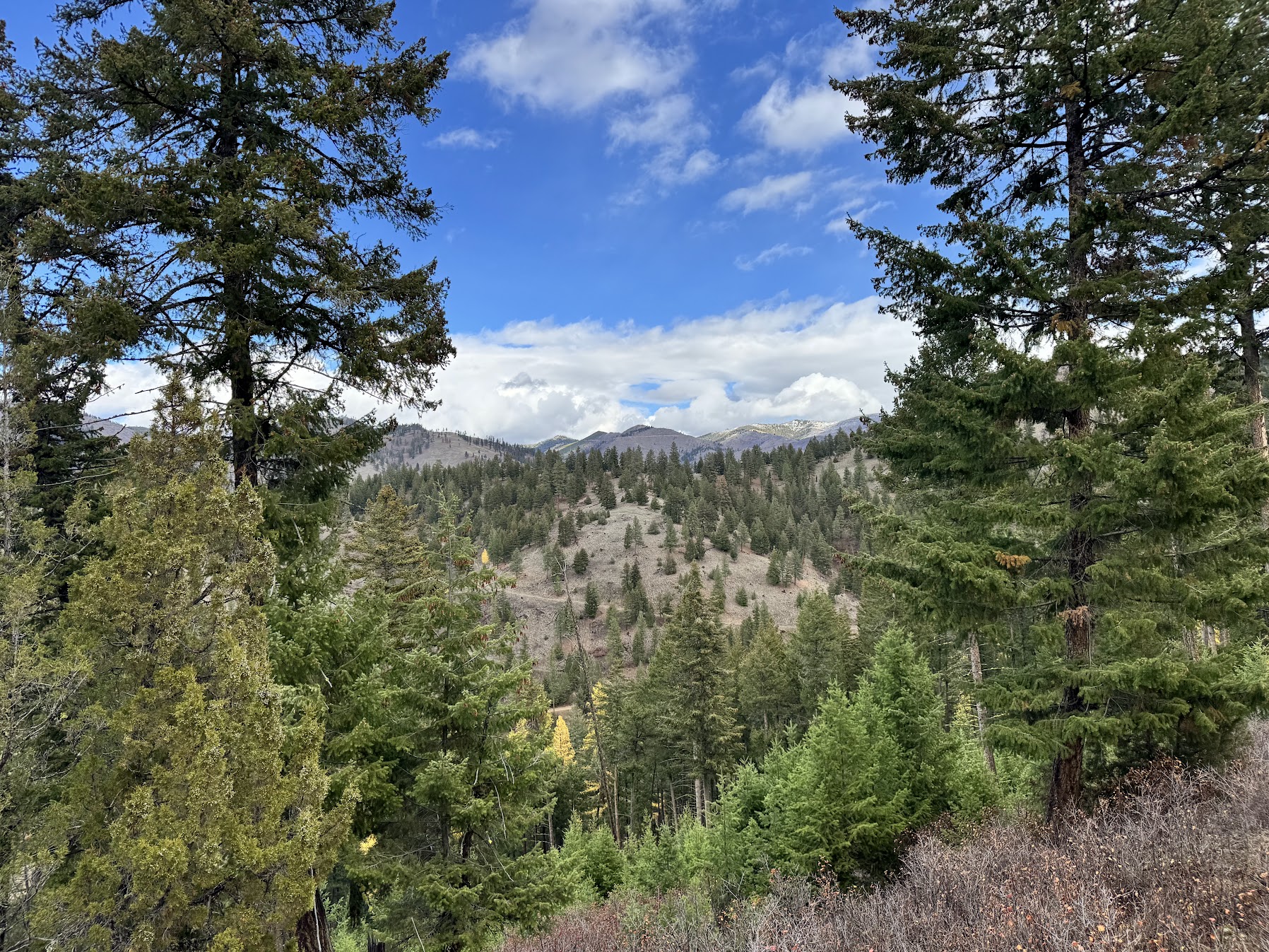 Clinton, Montana 59825, United States, ,Land,Active,214217