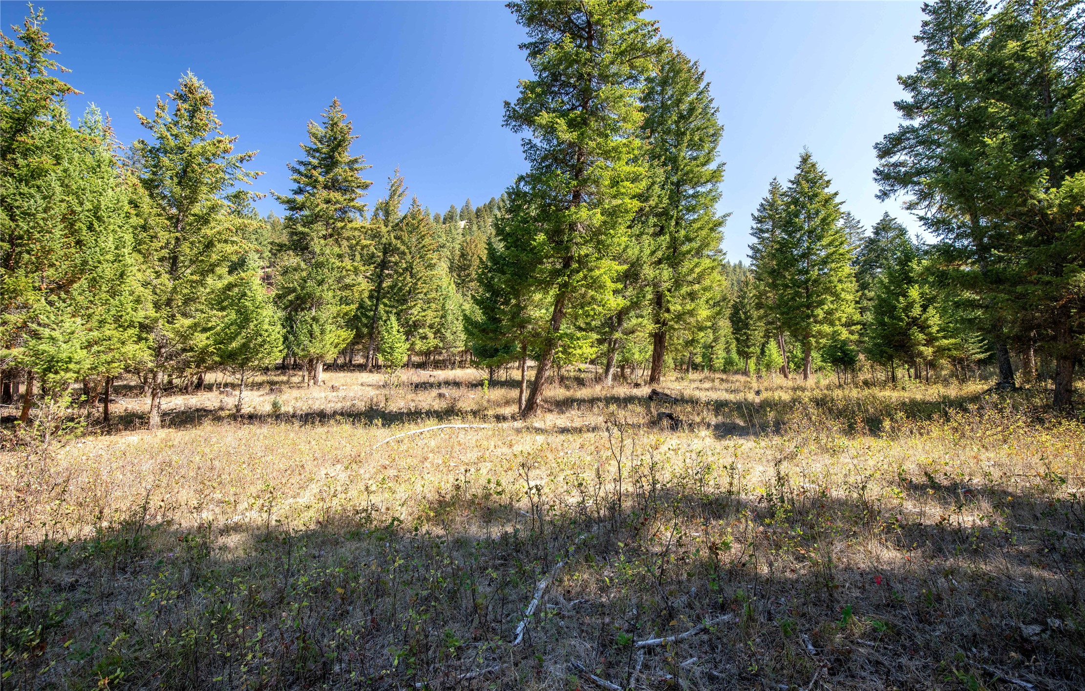 Clinton, Montana 59825, United States, ,Land,Active,214217