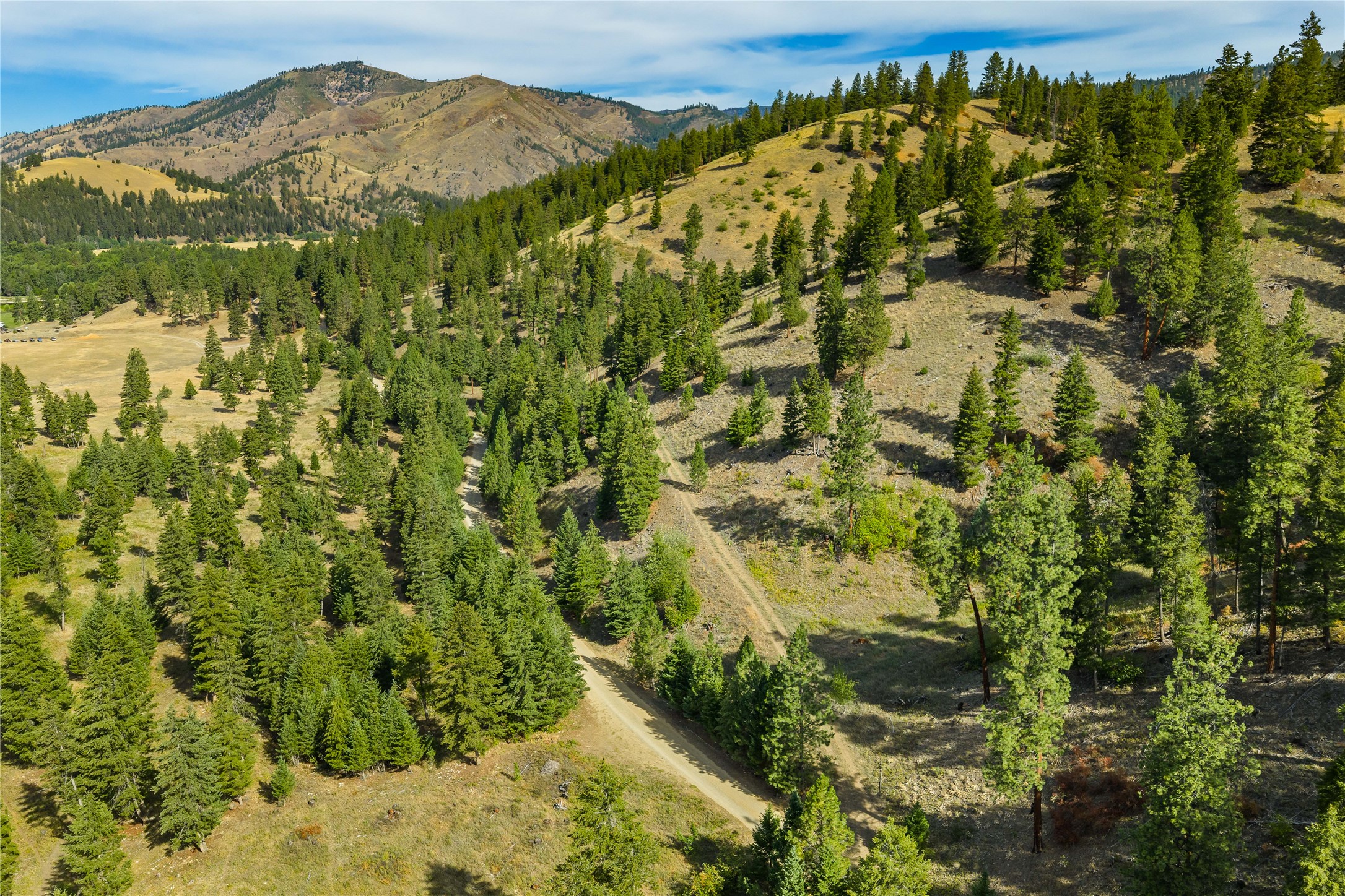 Clinton, Montana 59825, United States, ,Land,Active,214217