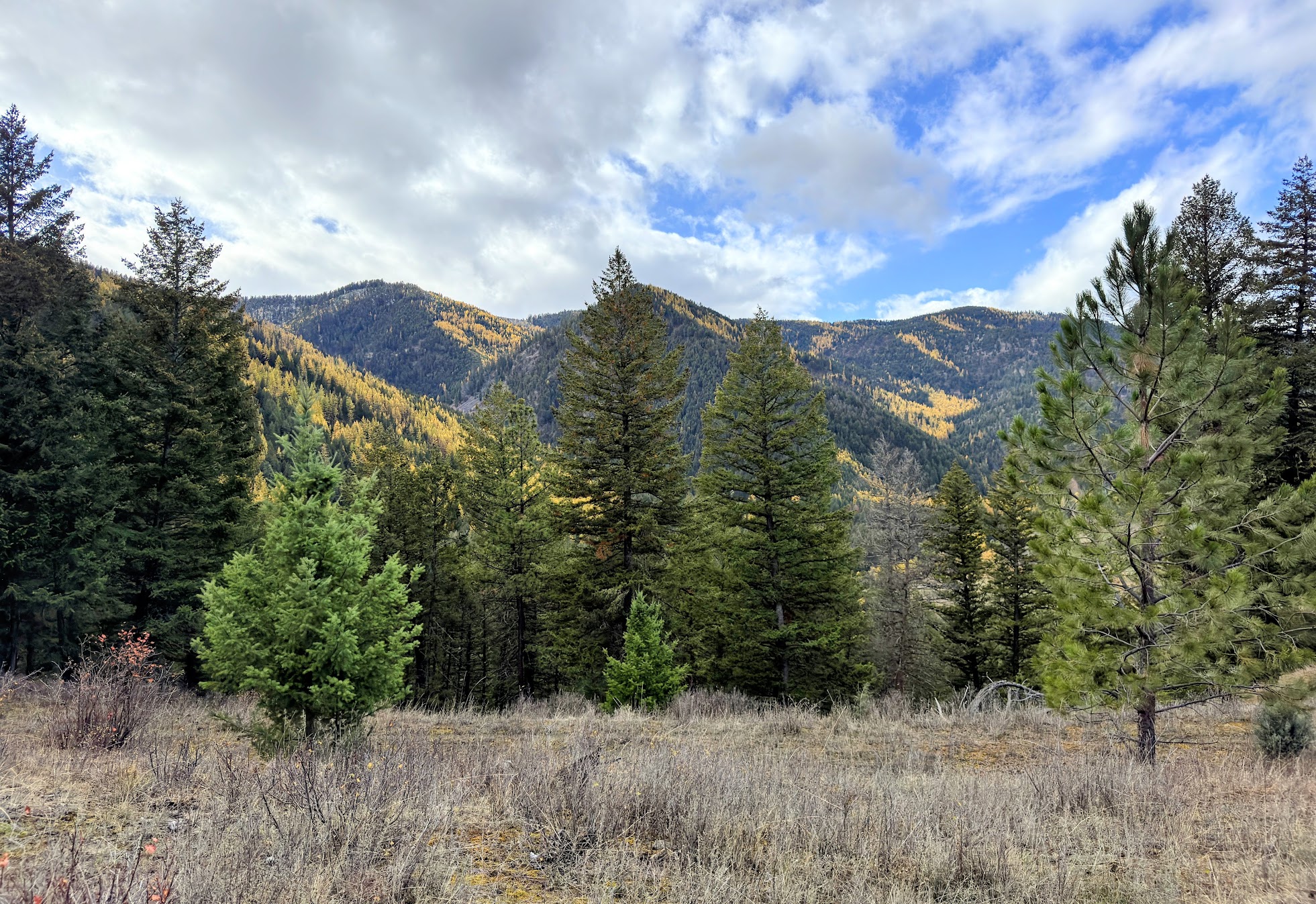 Clinton, Montana 59825, United States, ,Land,Active,214217