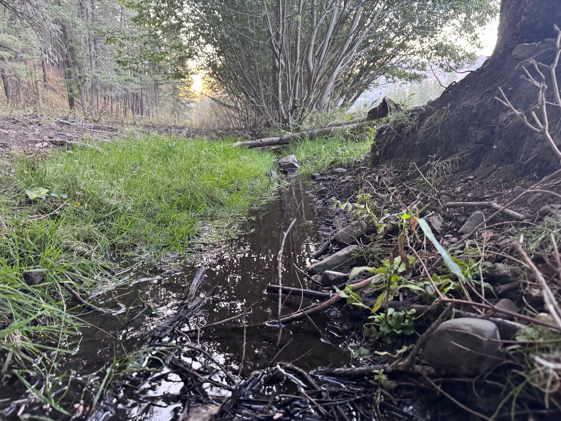 Clinton, Montana 59825, United States, ,Land,Active,214217