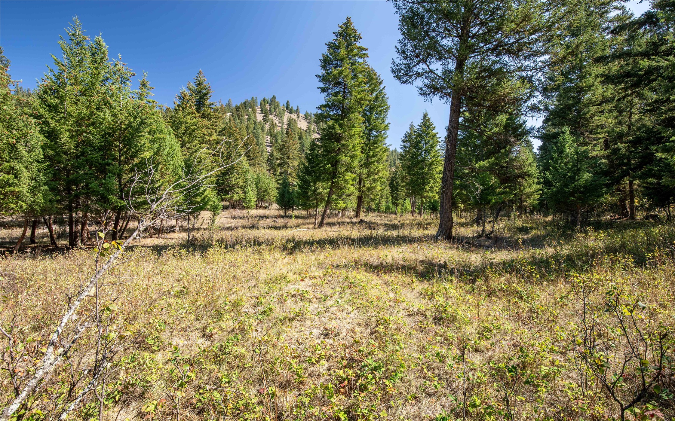 Clinton, Montana 59825, United States, ,Land,Active,214217