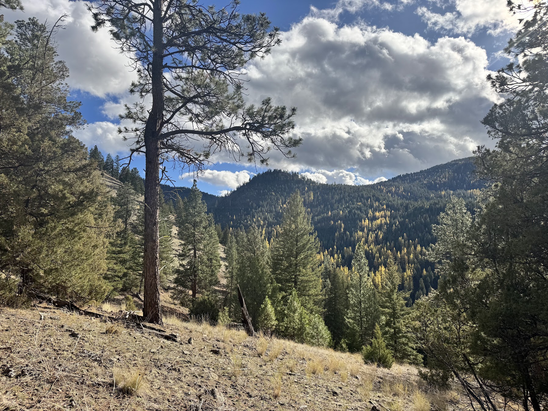 Clinton, Montana 59825, United States, ,Land,Active,214217