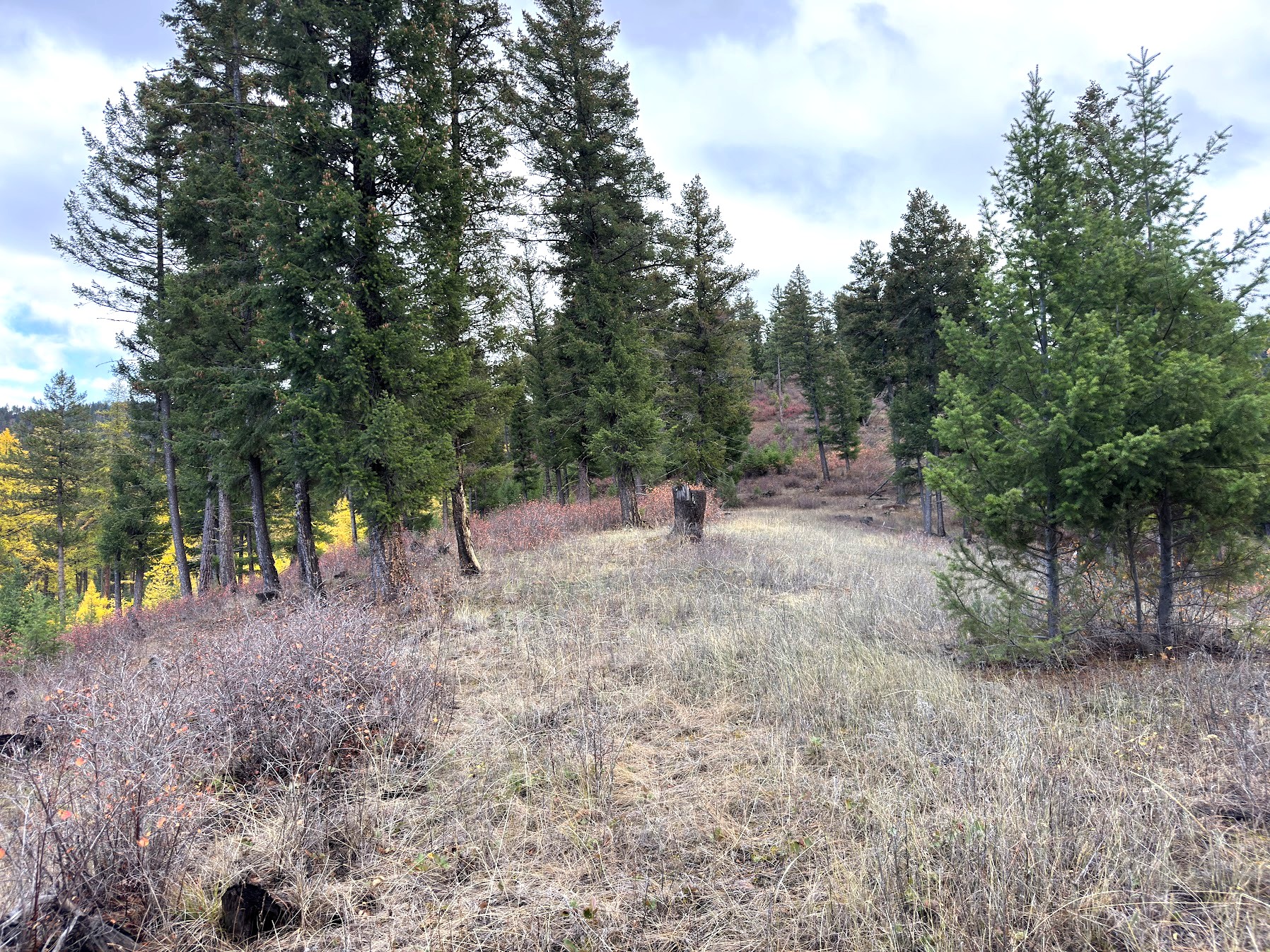 Clinton, Montana 59825, United States, ,Land,Active,214217