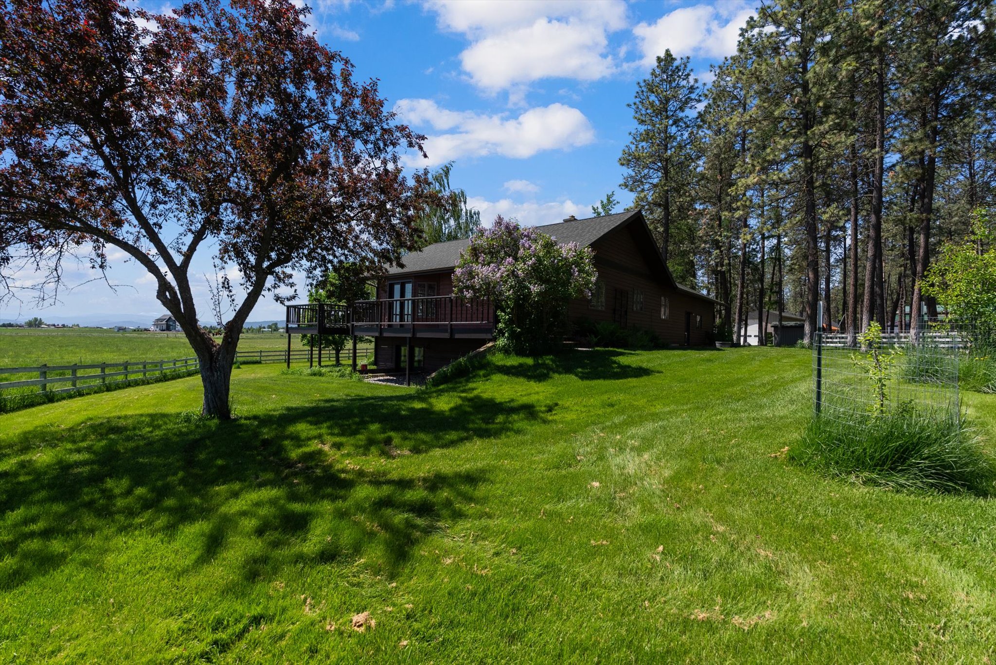 43 Pine Cone Lane