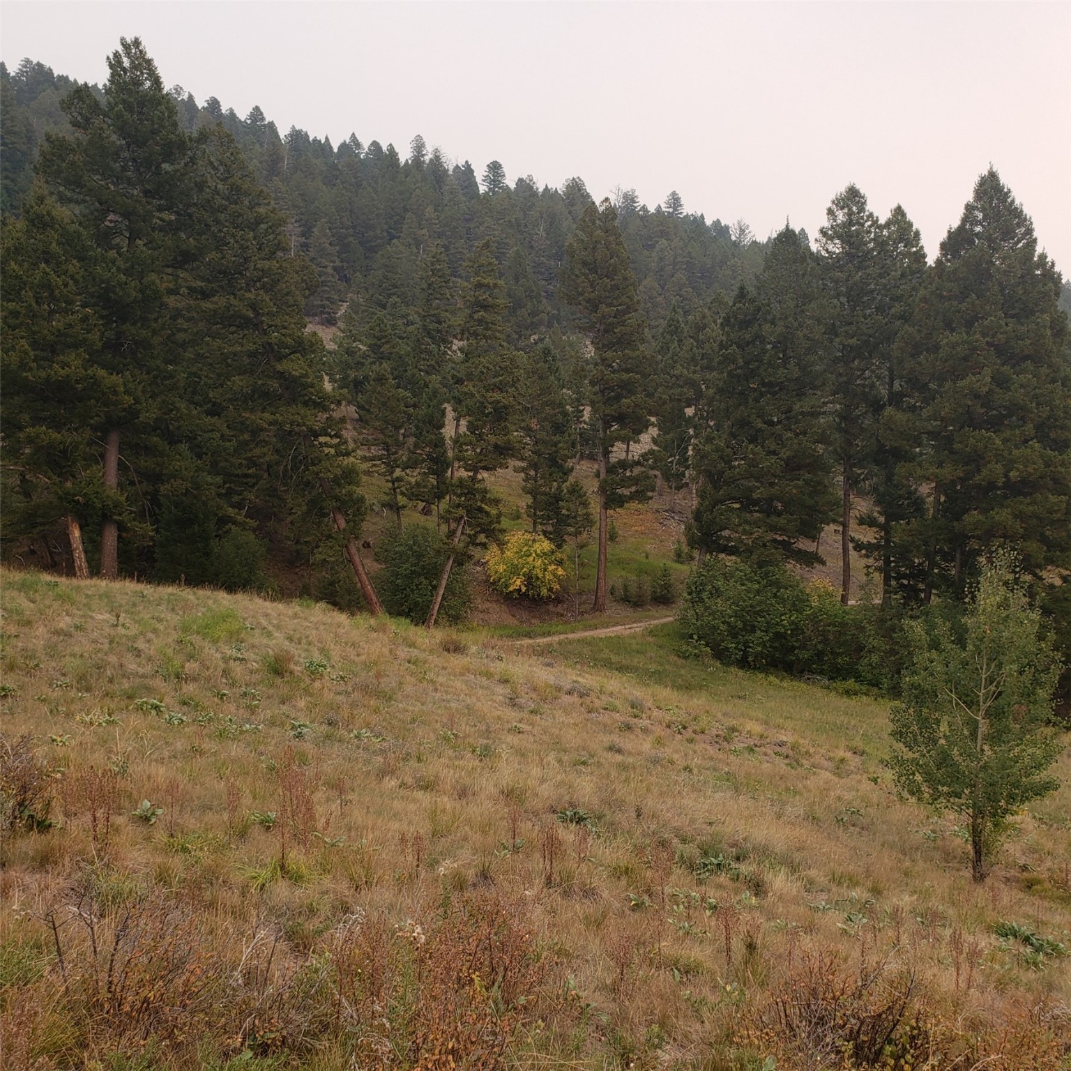6958 Brock Creek Road