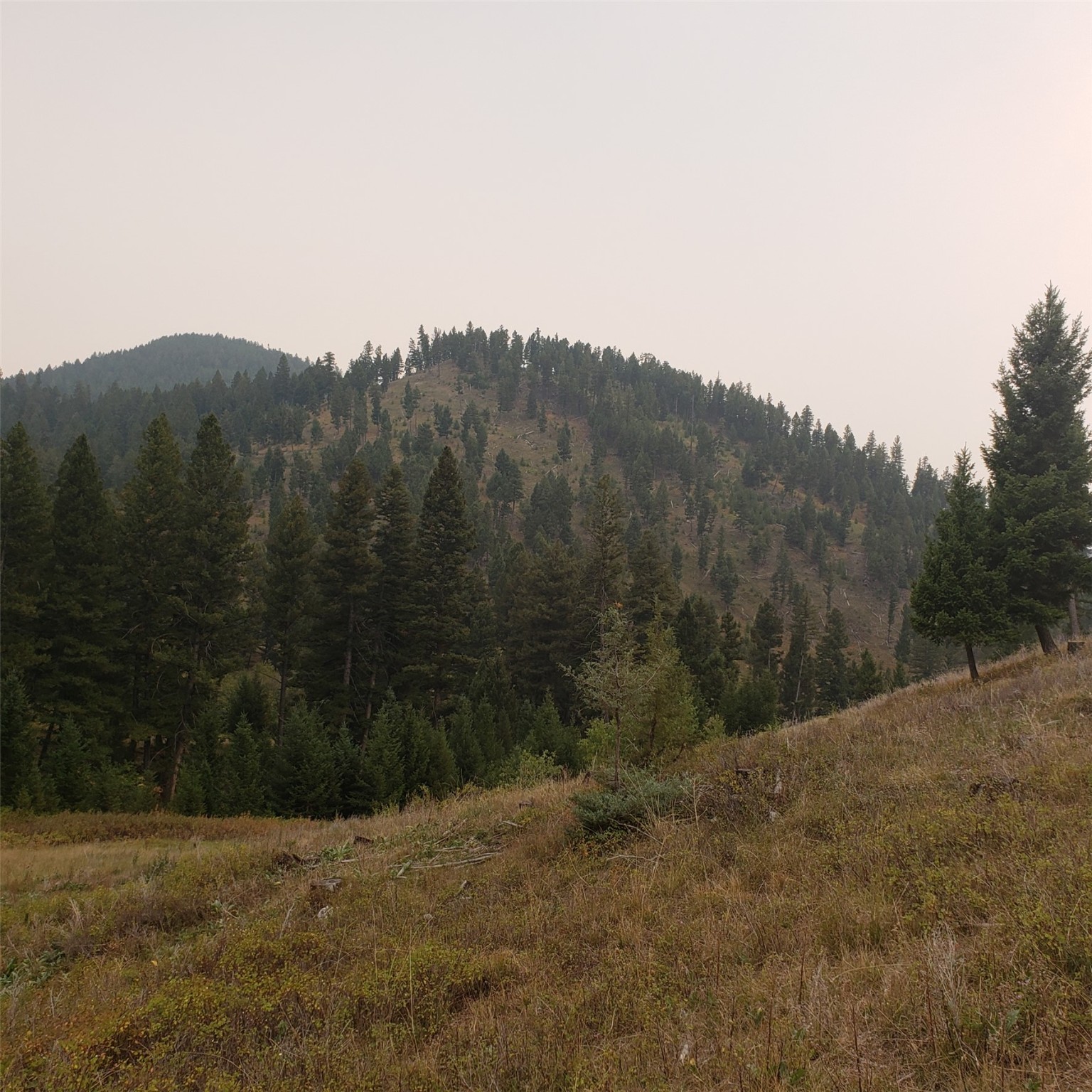 6958 Brock Creek Road