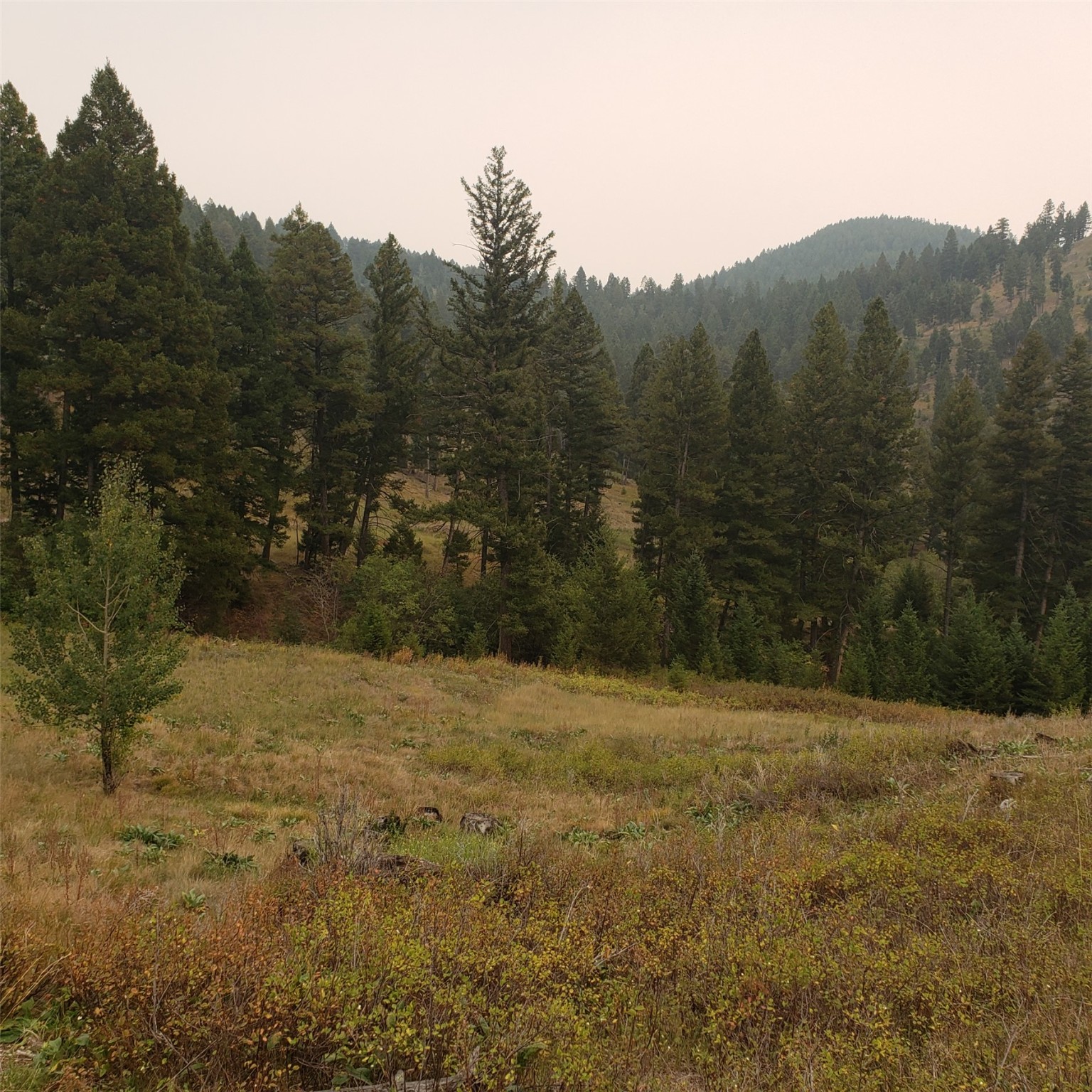 6958 Brock Creek Road