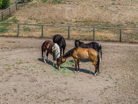Tiny photo for 5122 Hoblitt Lane N, Florence, MT 59833 (MLS # 30076478)