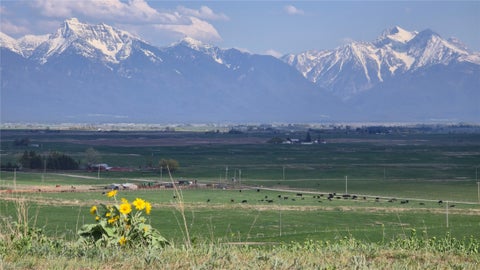 Photo of 44281 Turnquist Road, Ronan, MT 59864 (MLS # 30079933)