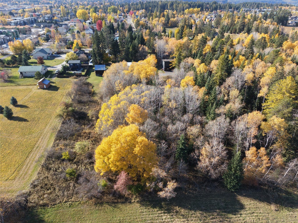 Photo of 303 Texas Avenue, Whitefish, MT 59937 (MLS # 30080151)