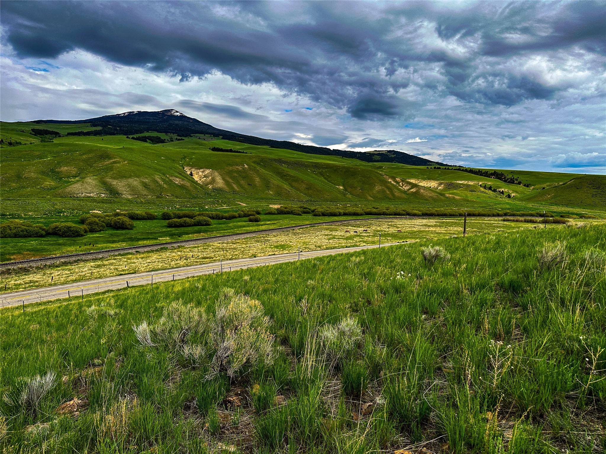 1269 Open Range Lane