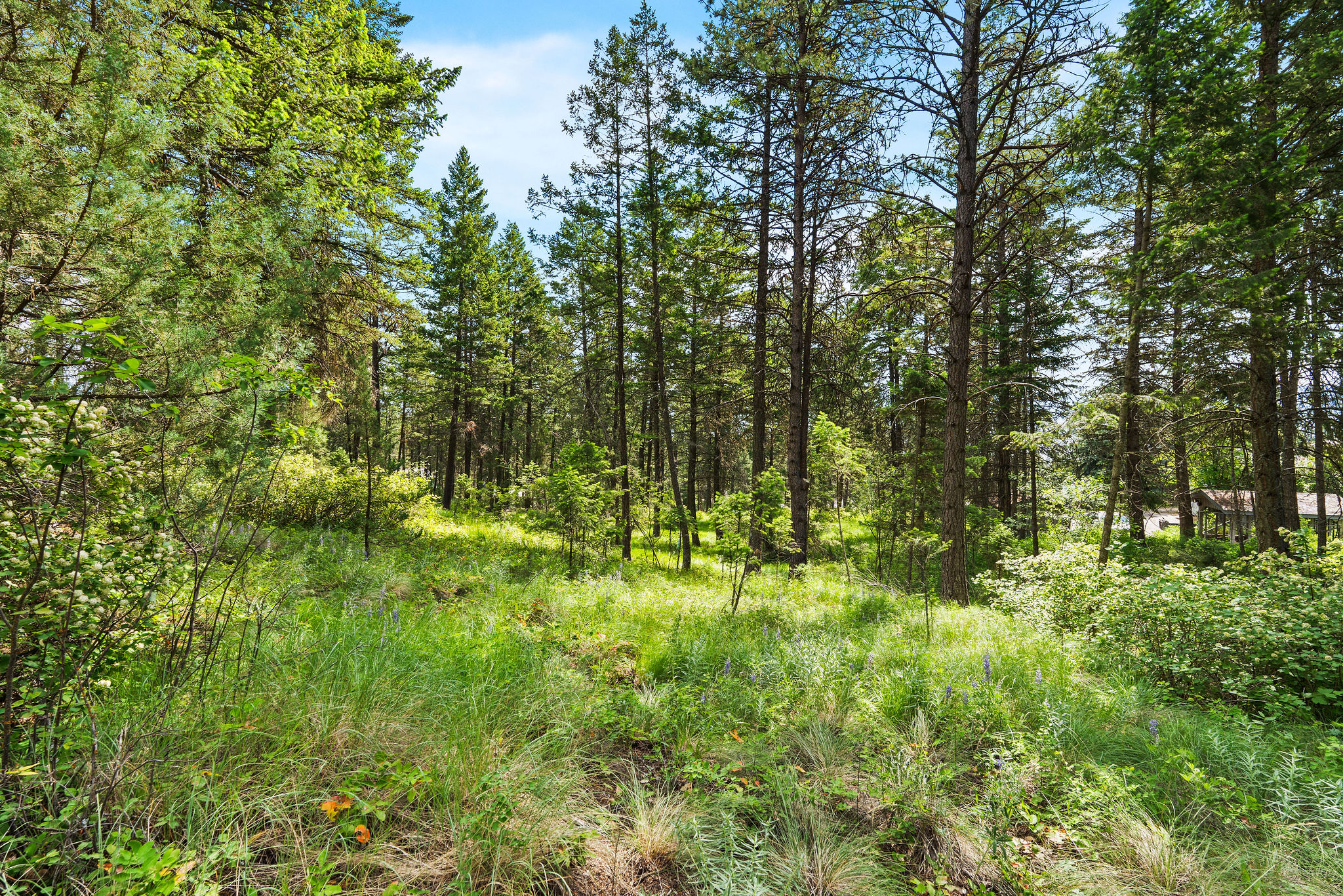 111 Grandview Terrace