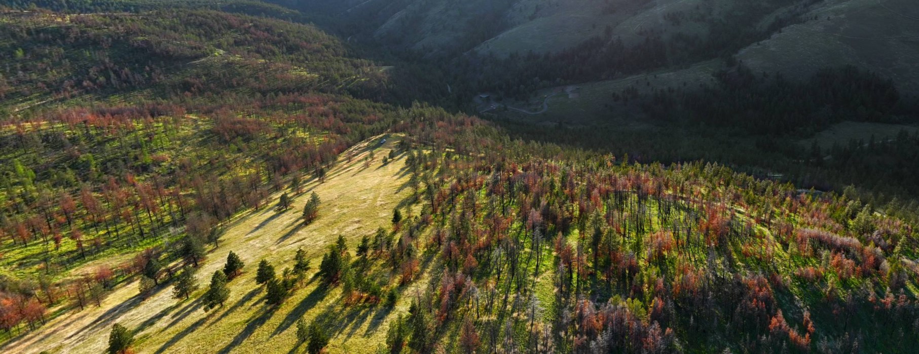 NHN McLaughlin Creek Road