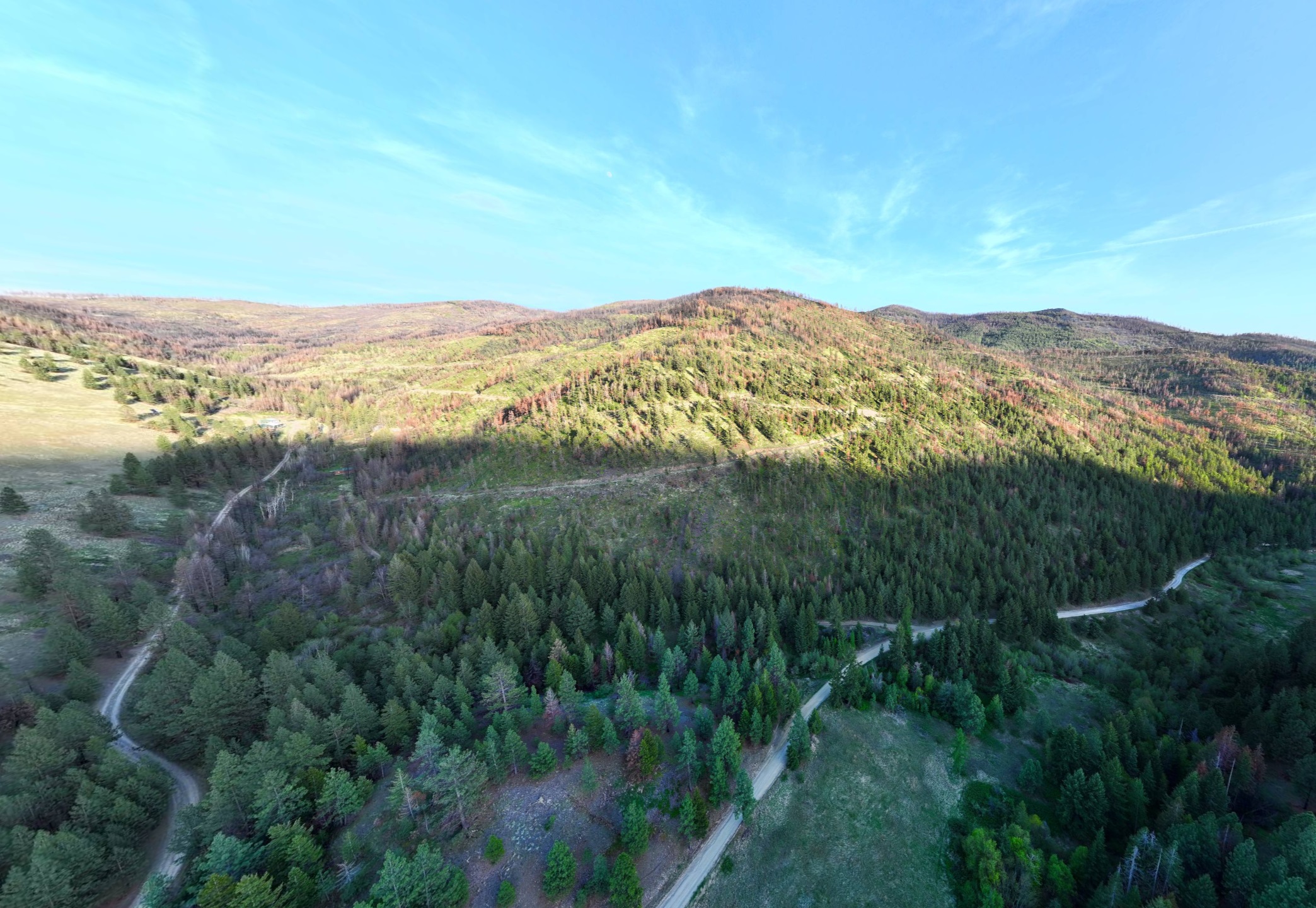 NHN McLaughlin Creek Road