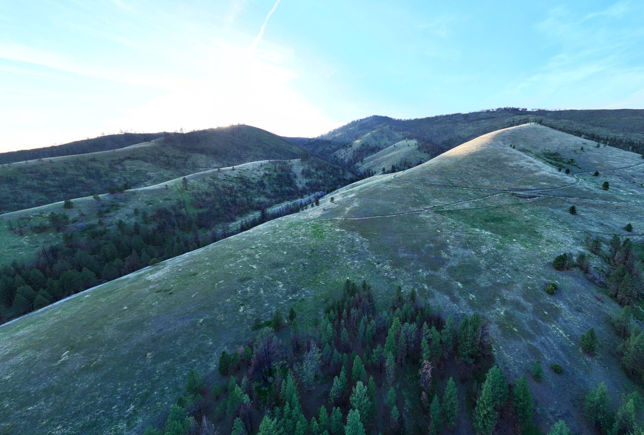 NHN McLaughlin Creek Road