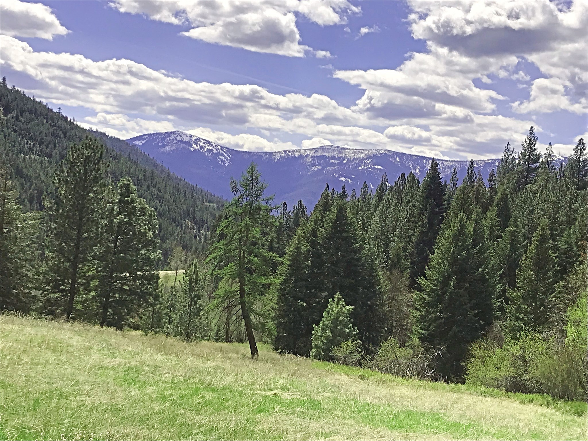 NHN McLaughlin Creek Road
