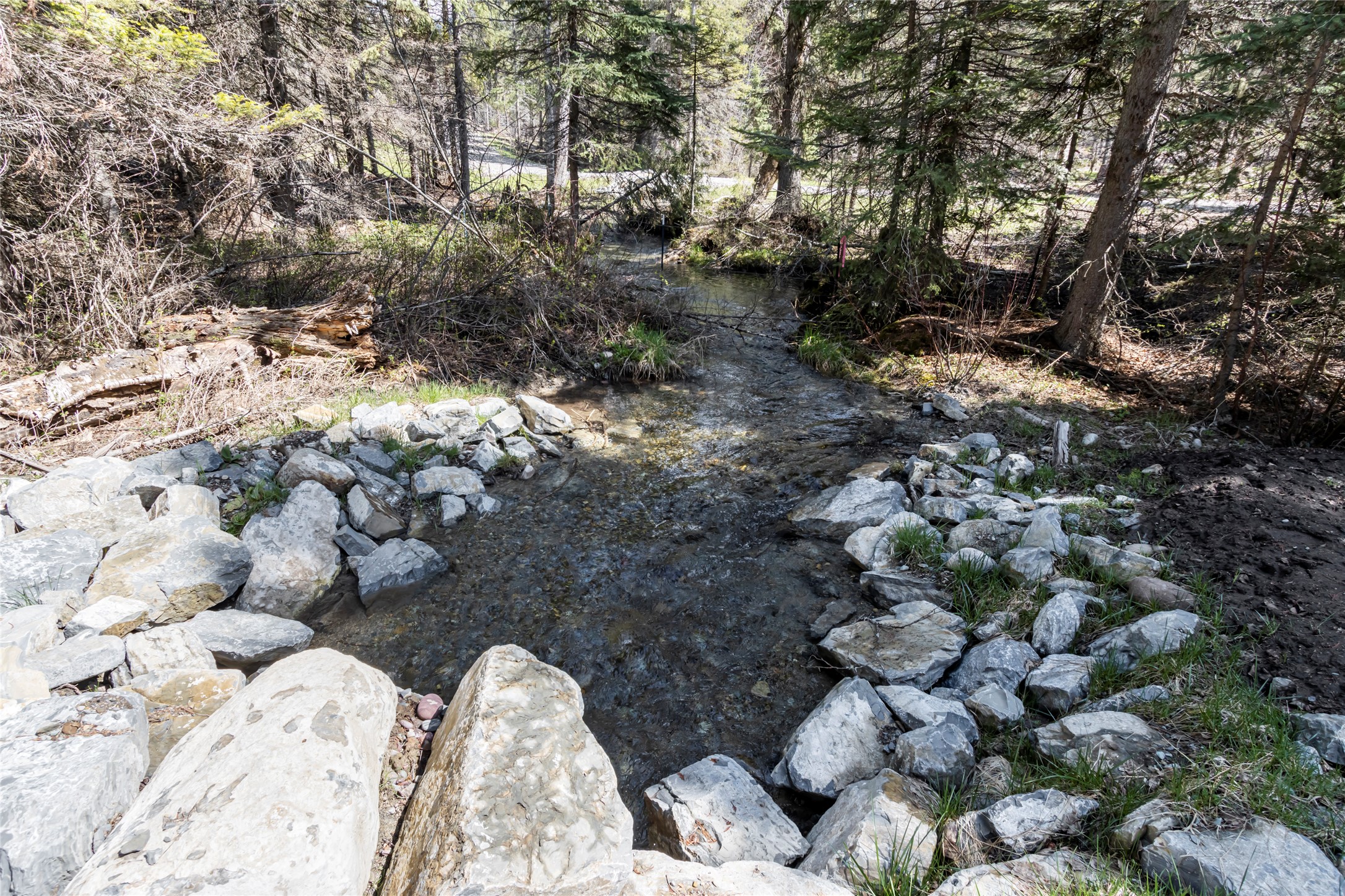 427 Coyote Meadow Trail