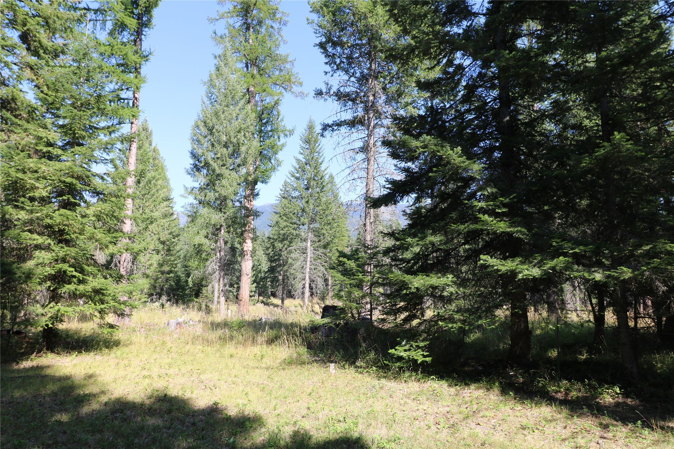 NHN Jewel Basin Ranch Road