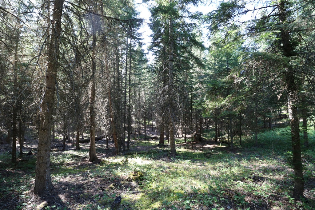 Photo of NHN Jewel Basin Ranch Road, Bigfork, MT 59911 (MLS # 30077901)