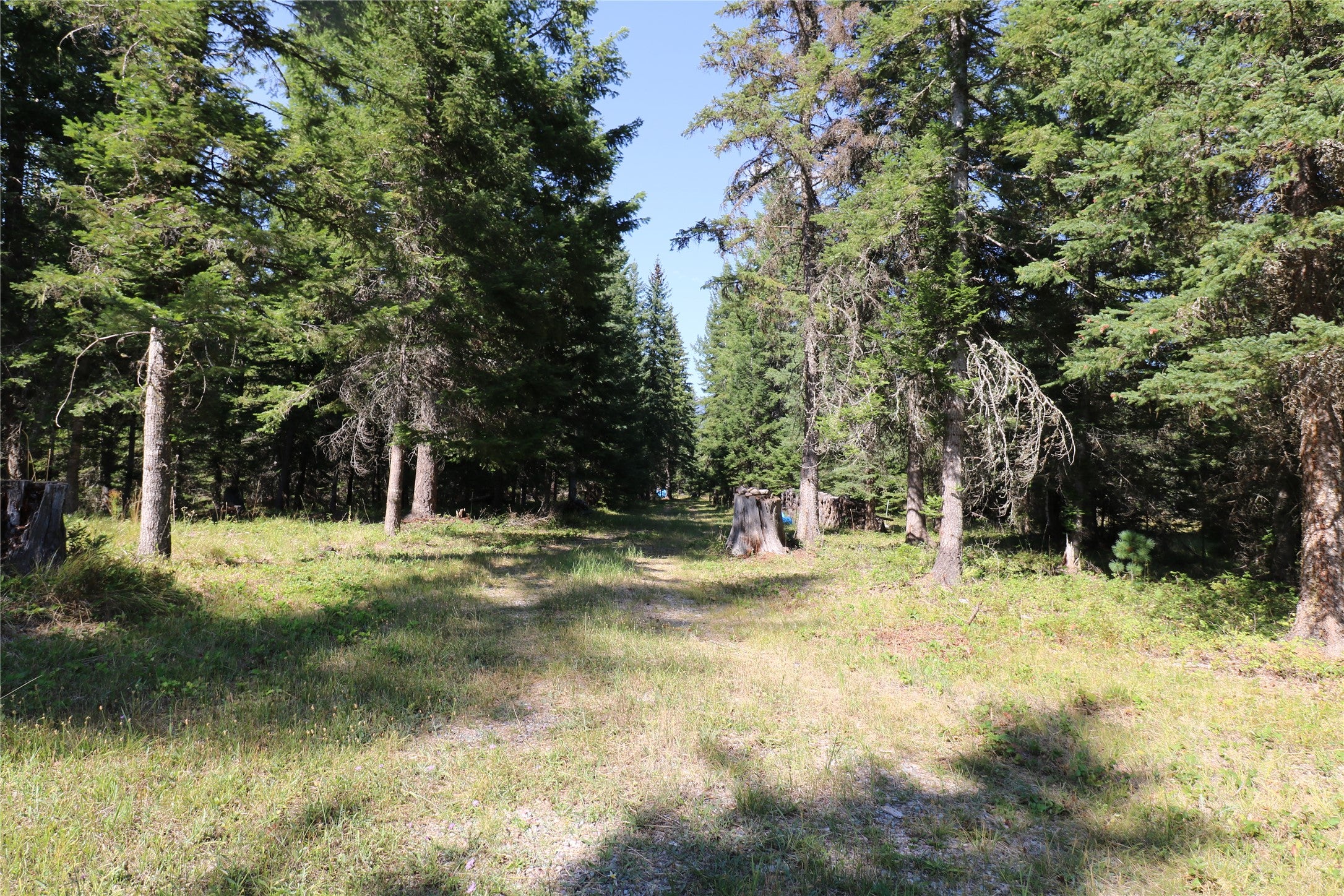 NHN Jewel Basin Ranch Road
