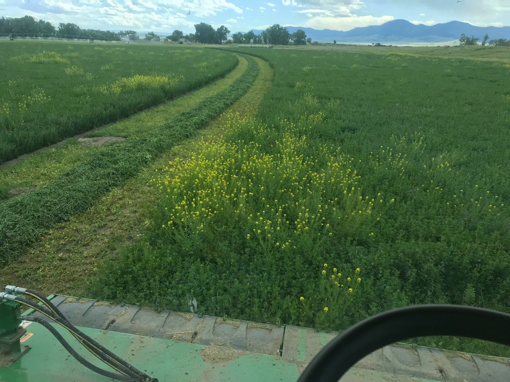 Photo of tbd tbd, Cascade, MT 59421 (MLS # 30068227)