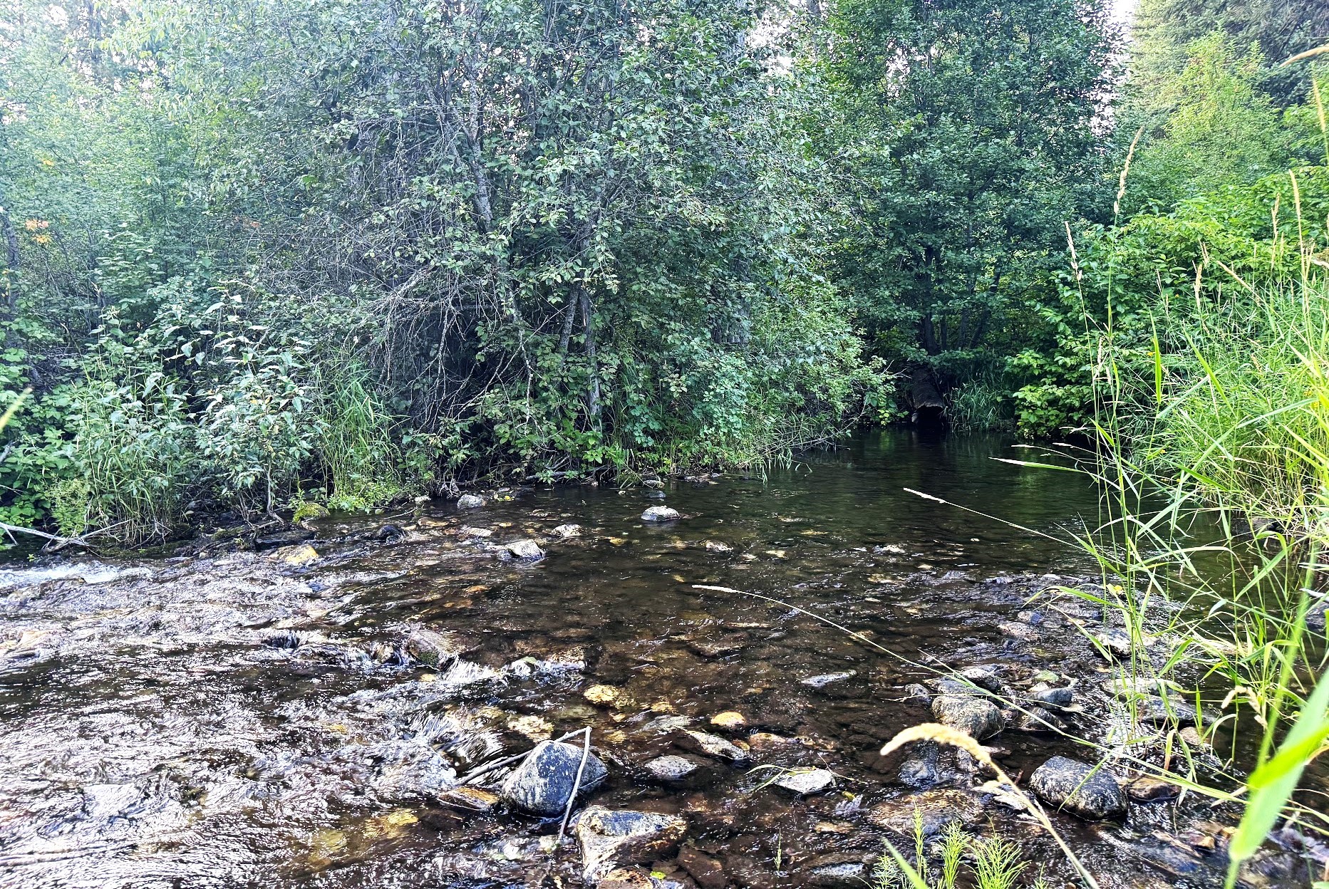 Saint Regis, Montana 59866, United States, 3 Bedrooms Bedrooms, ,2 BathroomsBathrooms,Residential,Pending,48025