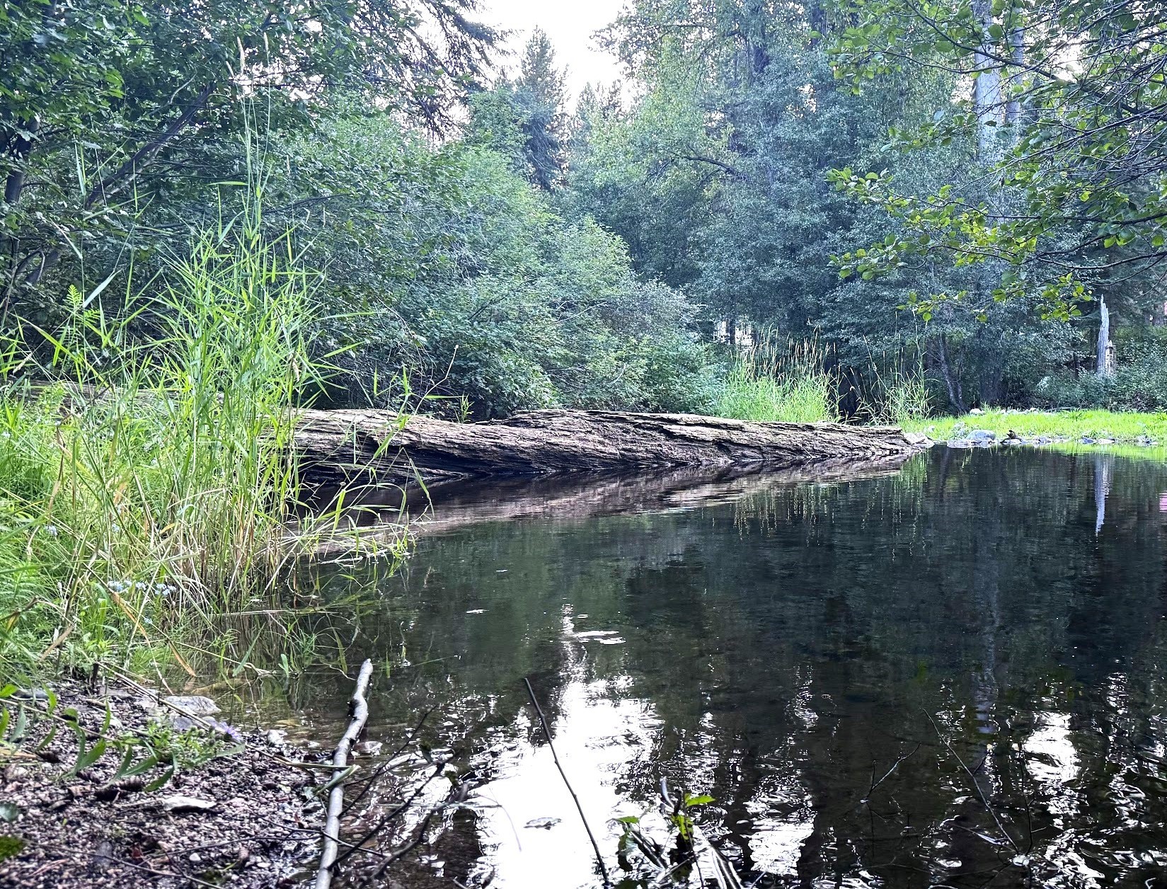 Saint Regis, Montana 59866, United States, 3 Bedrooms Bedrooms, ,2 BathroomsBathrooms,Residential,Pending,48025