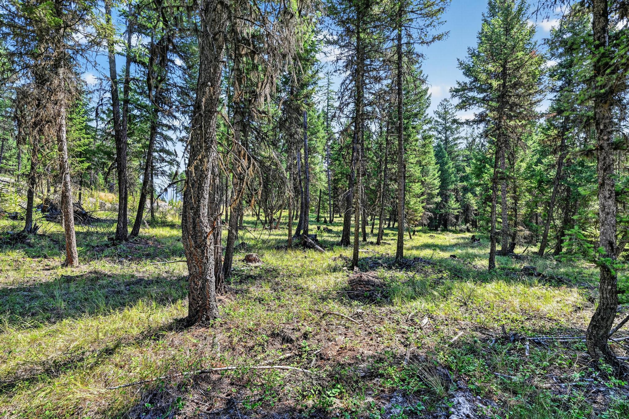 Lot 4 Forest Ridge Road